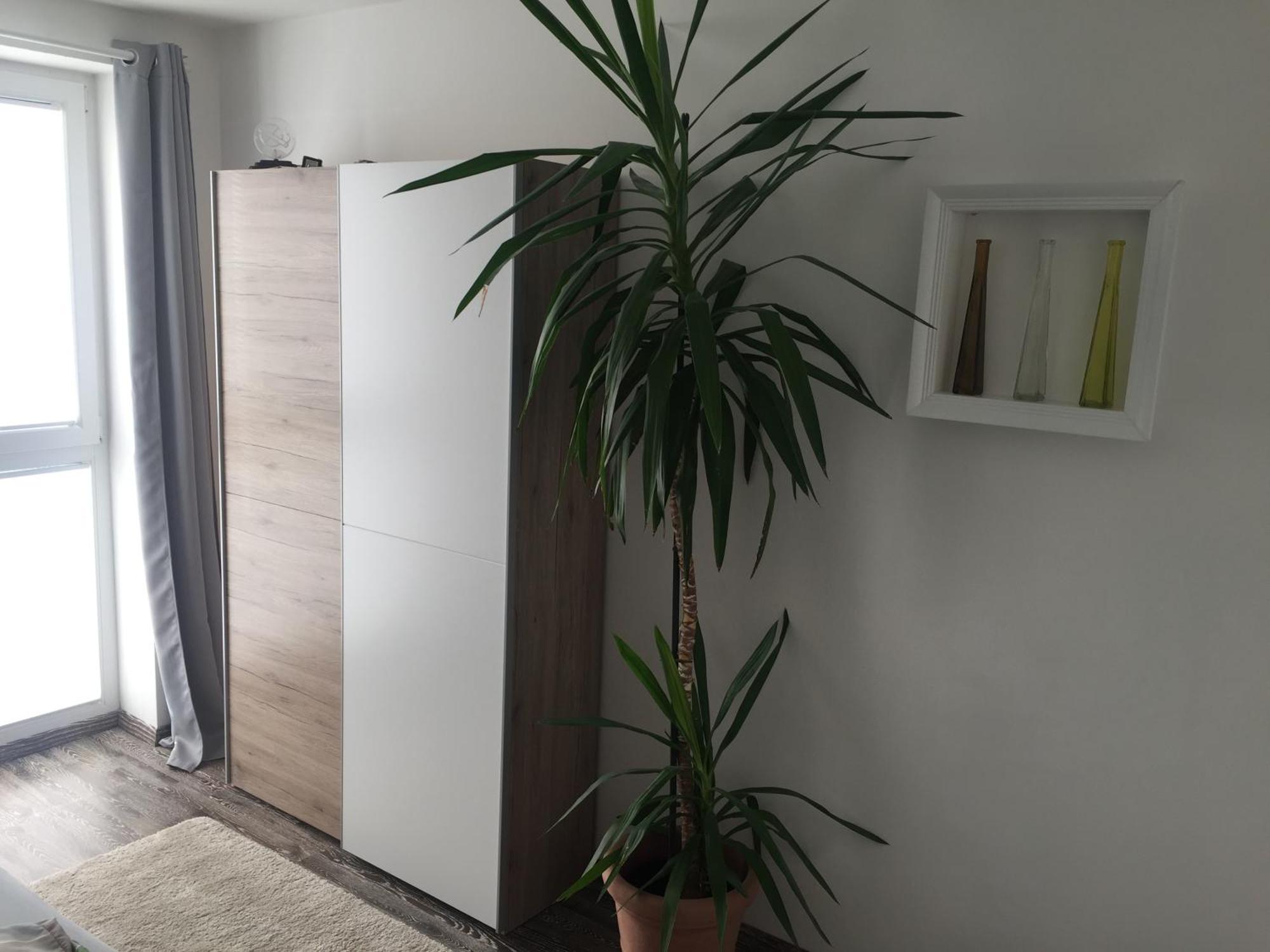 Ferienwohnungen Nahrstedt Waldeck  Luaran gambar